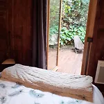 Bed & Breakfast Foudres Du Chene Du Py