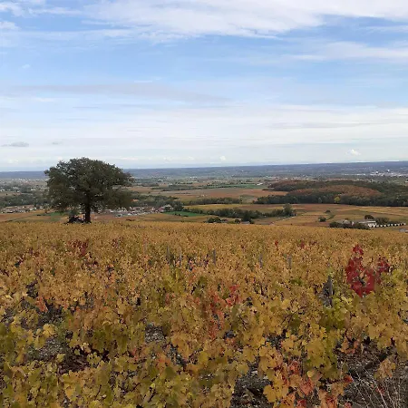 Foudres Du Chene Du Py 3*