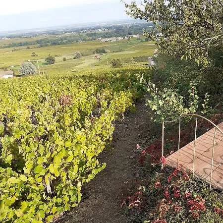 Bed and breakfast Foudres Du Chene Du Py 3*