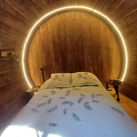 Foudres Du Chene Du Py 3* Villie-Morgon