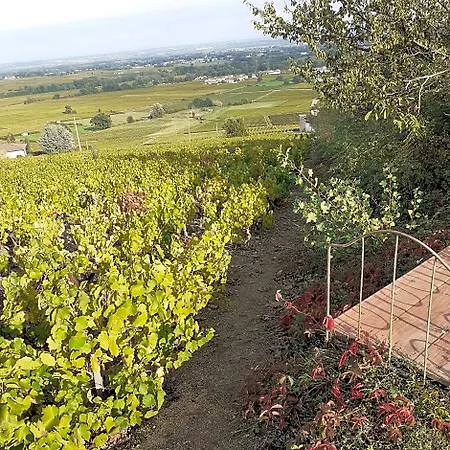Bed & Breakfast Foudres Du Chene Du Py Villie-Morgon