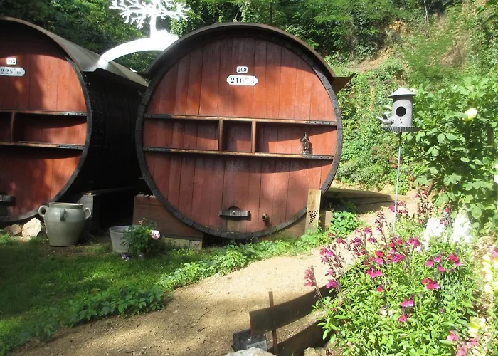 Bed & Breakfast Foudres Du Chene Du Py 3*