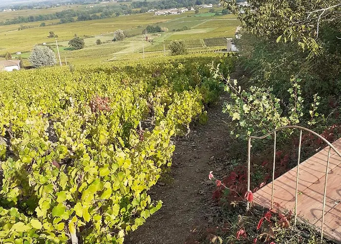 Bed & Breakfast Foudres Du Chene Du Py 3*